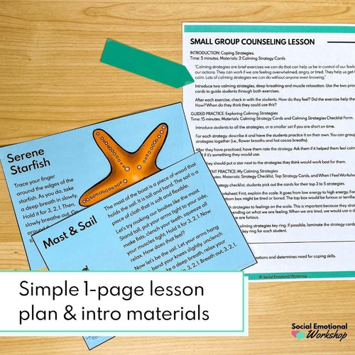 Calming Strategies Small Group Lesson to Improve Self Regulation Media Social Emotional Workshop