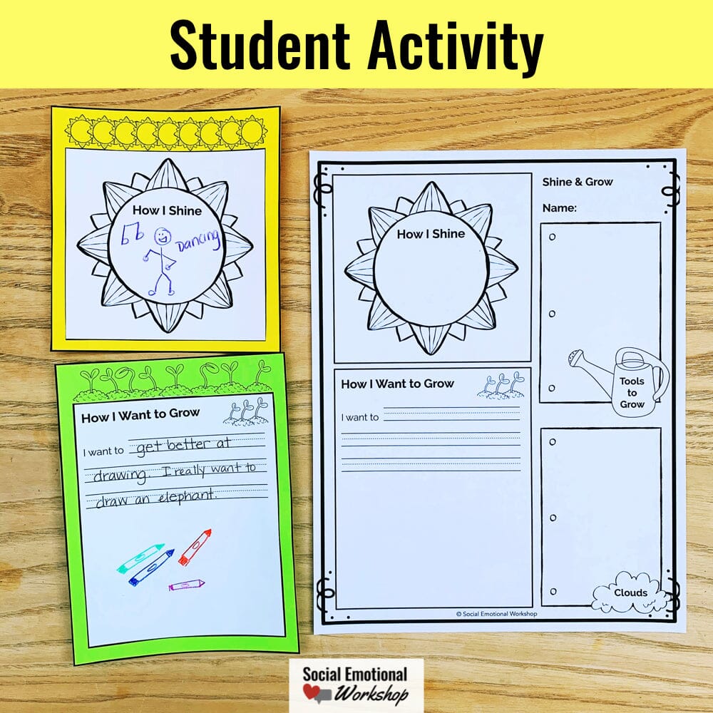 SEL Activity and Bulletin Board: Student Strengths and Areas for Growth Media Social Emotional Workshop